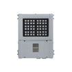 Spartan Mid Power Flood ATEX- valonheitin Zone 1